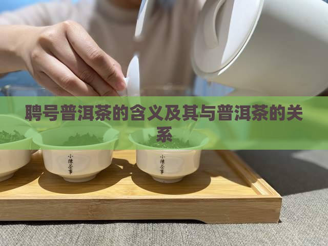 聘号普洱茶是什么意思
