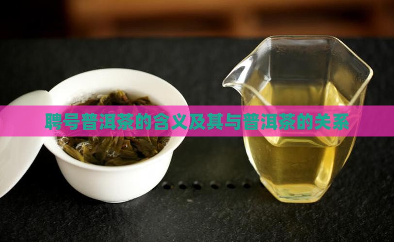 聘号普洱茶是什么意思
