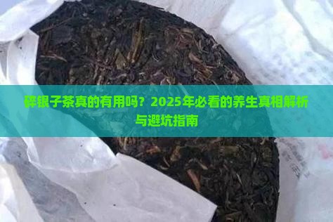 碎银子茶有什么功效和作用及禁忌