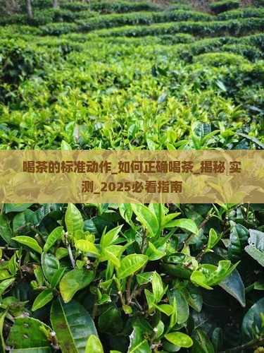 喝茶的标准动作