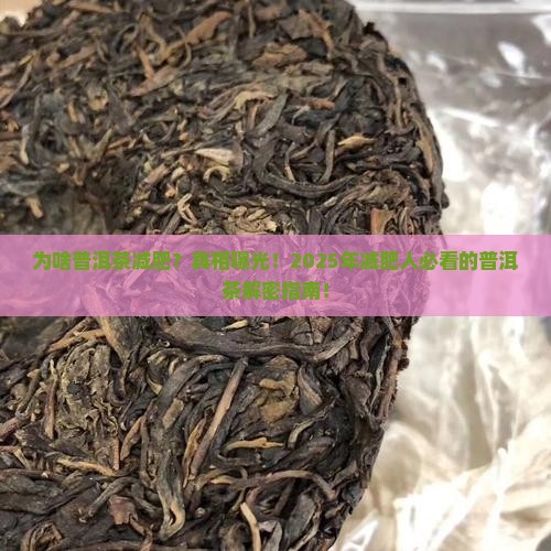 为啥普洱茶减肥