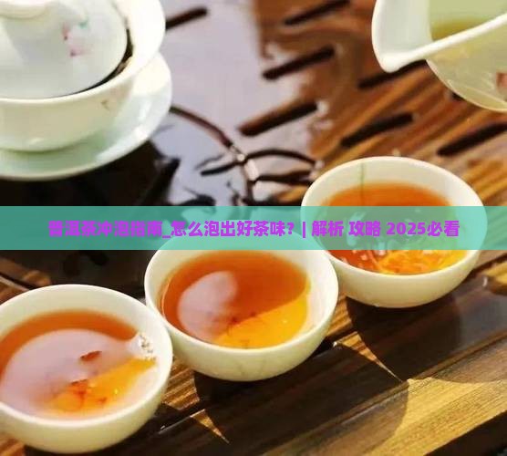 普洱茶冲泡指南
