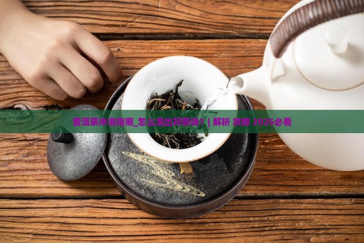 普洱茶冲泡指南