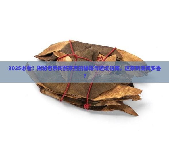 一什么茶树老茶树熬的茶羔