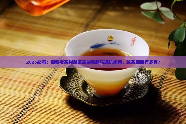 一什么茶树老茶树熬的茶羔