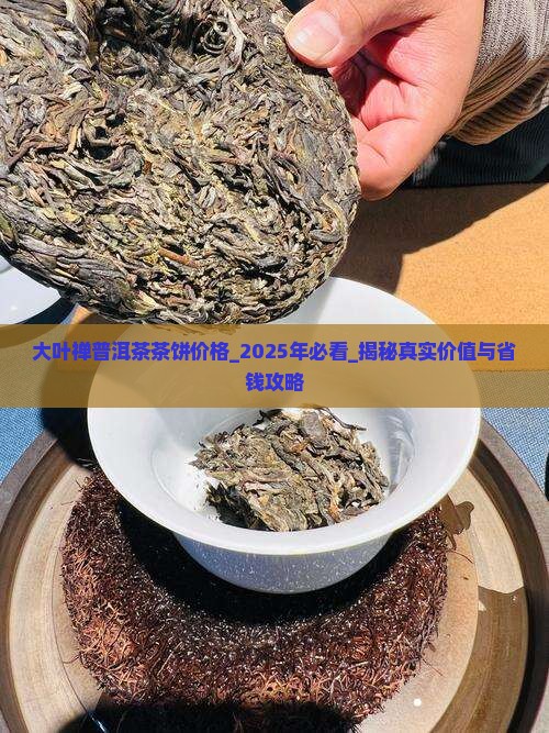 大叶禅普洱茶茶饼价格