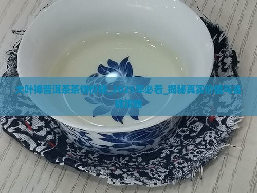 大叶禅普洱茶茶饼价格