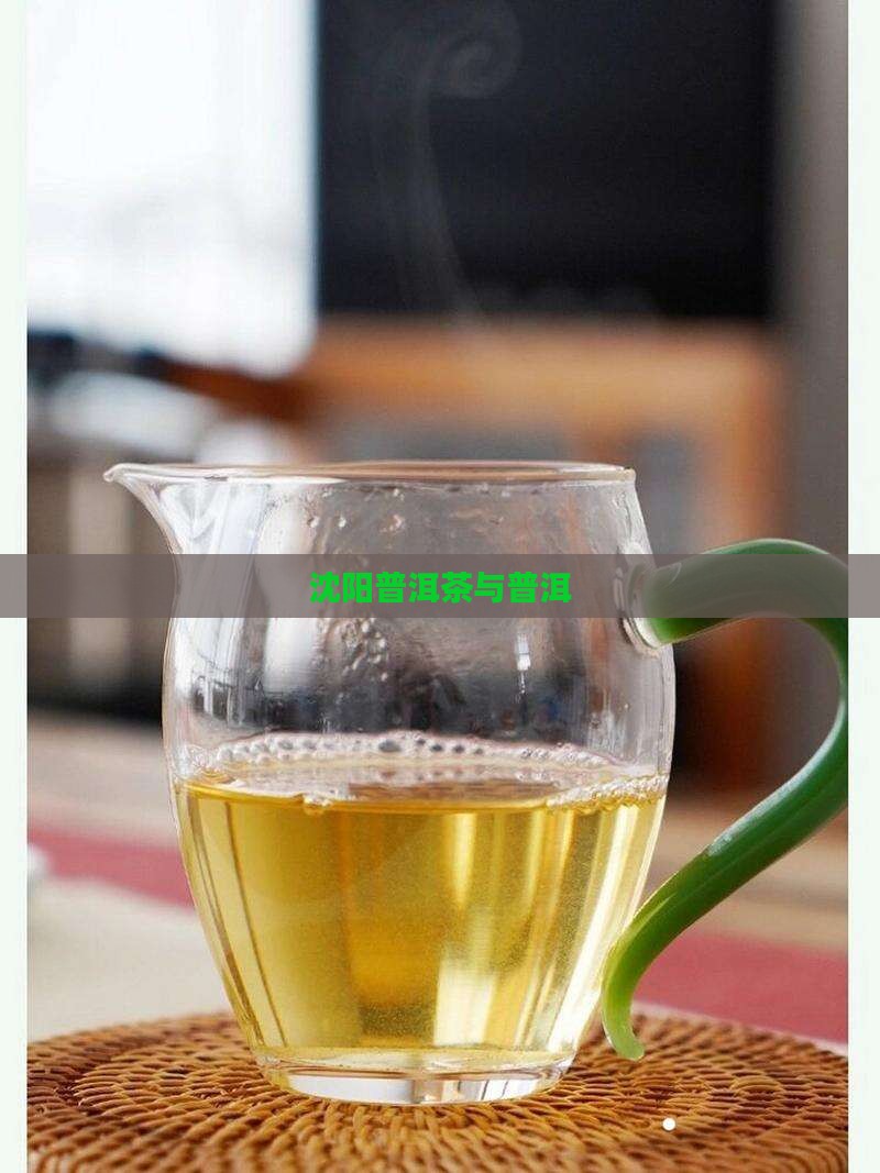 沈阳普洱茶牟忠