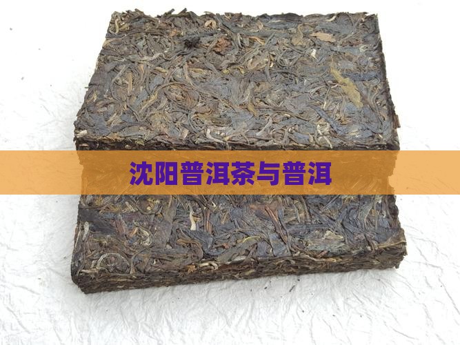 沈阳普洱茶牟忠