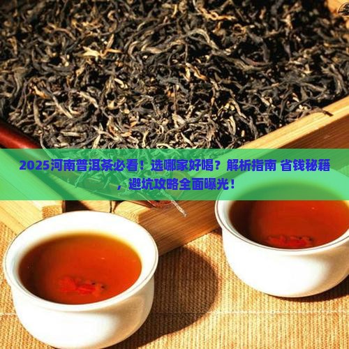 河南普洱茶选哪家好喝
