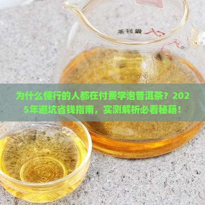泡普洱茶知识付费