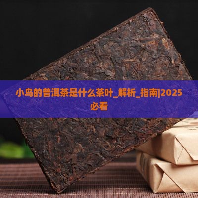 小鸟的普洱茶是什么茶叶