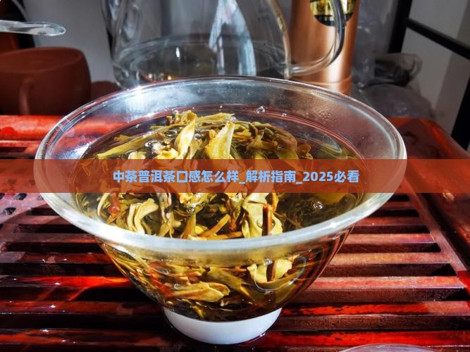 中茶普洱茶口感怎么样