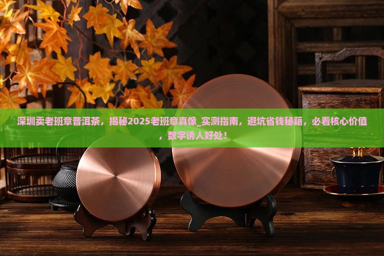 深圳卖老班章普洱茶