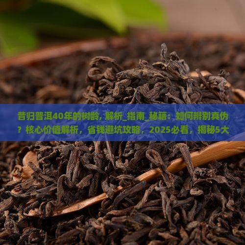 昔归普洱40年的树龄
