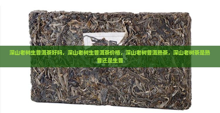 深山老树生普洱茶