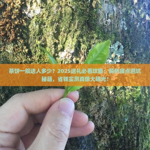 茶饼一般送人多少
