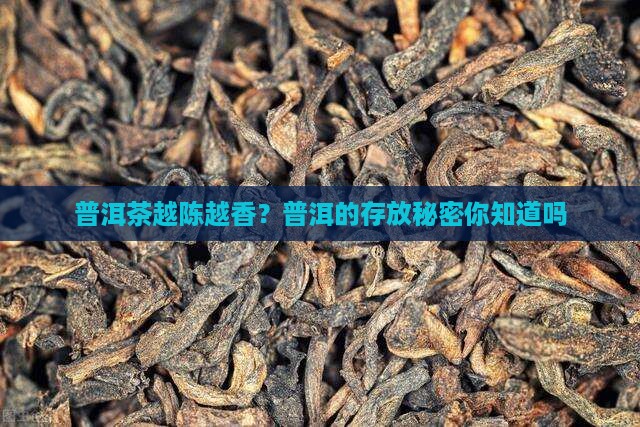 熟普洱茶放久了会怎么样