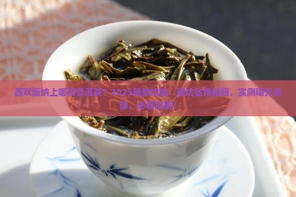 西双版纳上哪买普洱茶