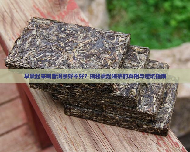 早晨起来喝普洱茶好不好