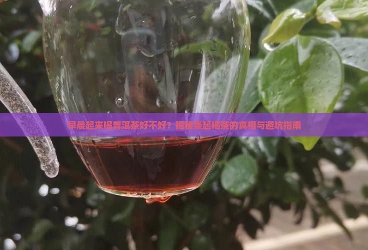 早晨起来喝普洱茶好不好