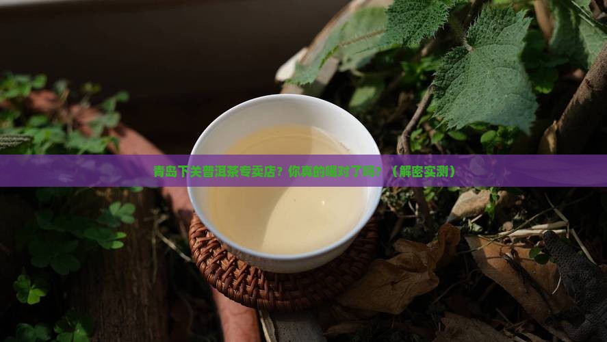 青岛下关普洱茶专卖店