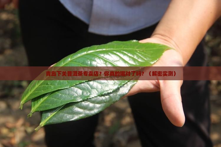 青岛下关普洱茶专卖店