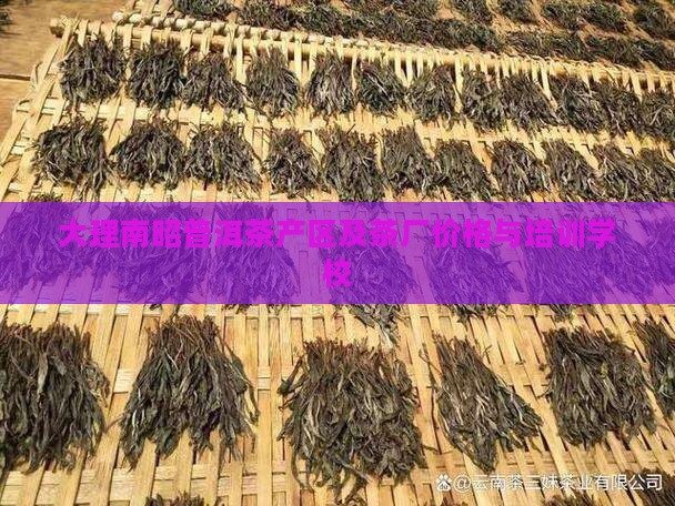 大理南昭普洱茶 大理南昭普洱茶