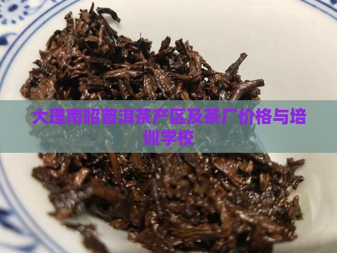 大理南昭普洱茶 大理南昭普洱茶