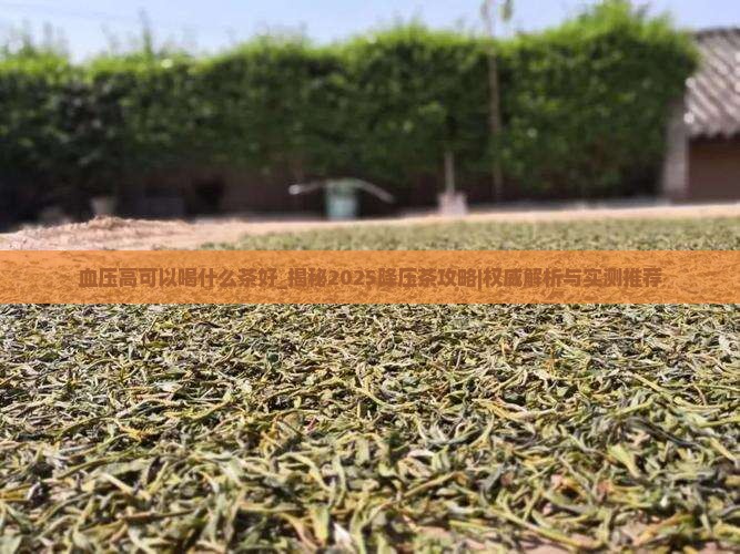 血压高可以喝什么茶好