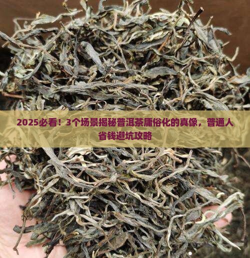 普洱茶为什么变成庸俗化