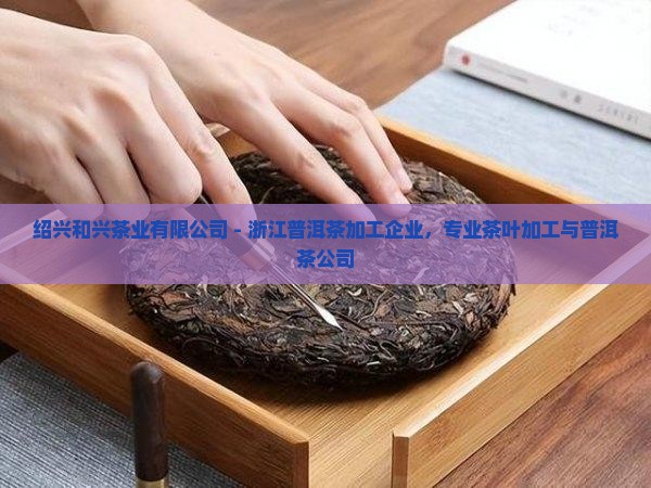 绍兴普洱茶公司