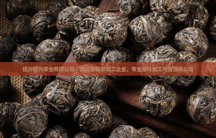 绍兴普洱茶公司