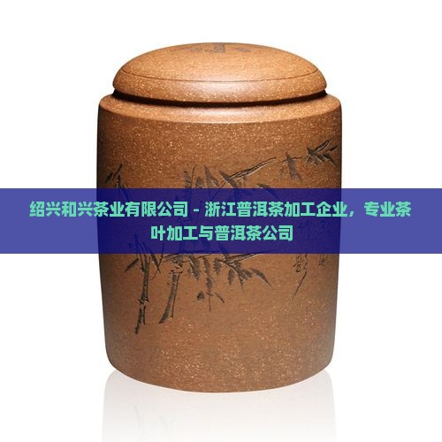 绍兴普洱茶公司