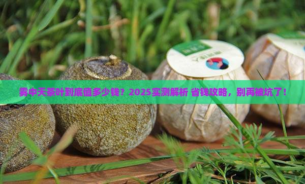 雾中天茶叶多少钱