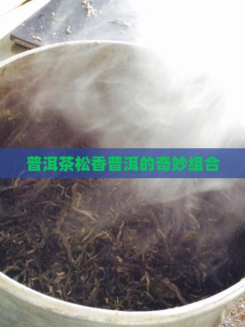 有松香普洱茶吗