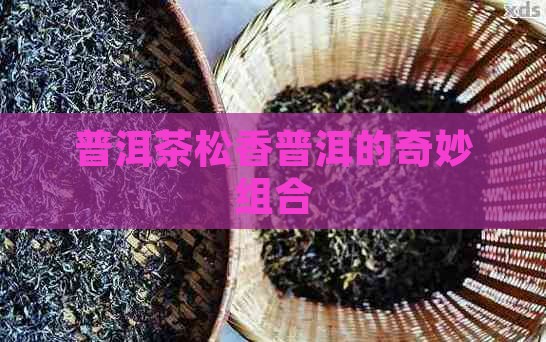 有松香普洱茶吗