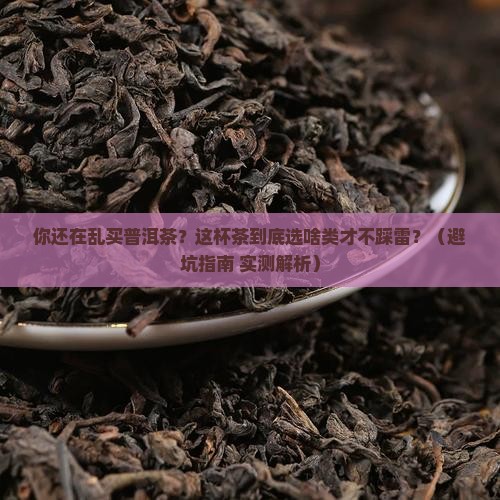 品牌普洱茶选择什么茶类