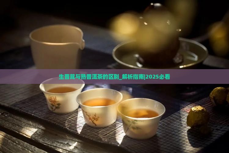 生普茸与熟普洱茶的区别