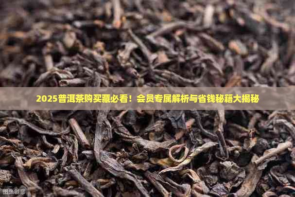 普洱茶购买藏研究会会员