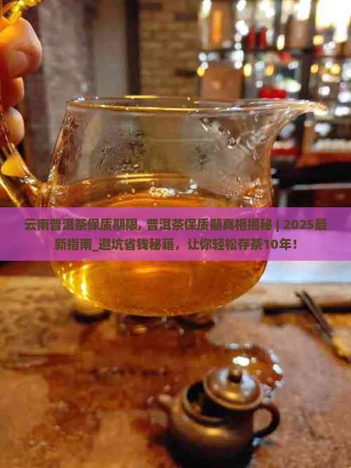 云南普洱茶保质期限