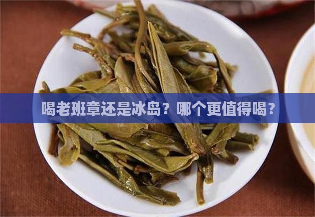 喝老班章还是冰岛