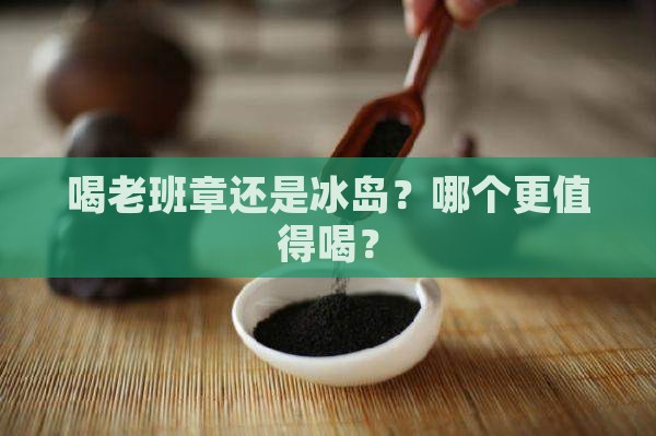喝老班章还是冰岛