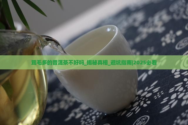 茸毛多的普洱茶不好吗