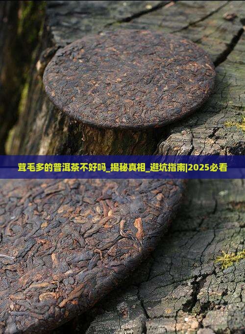 茸毛多的普洱茶不好吗