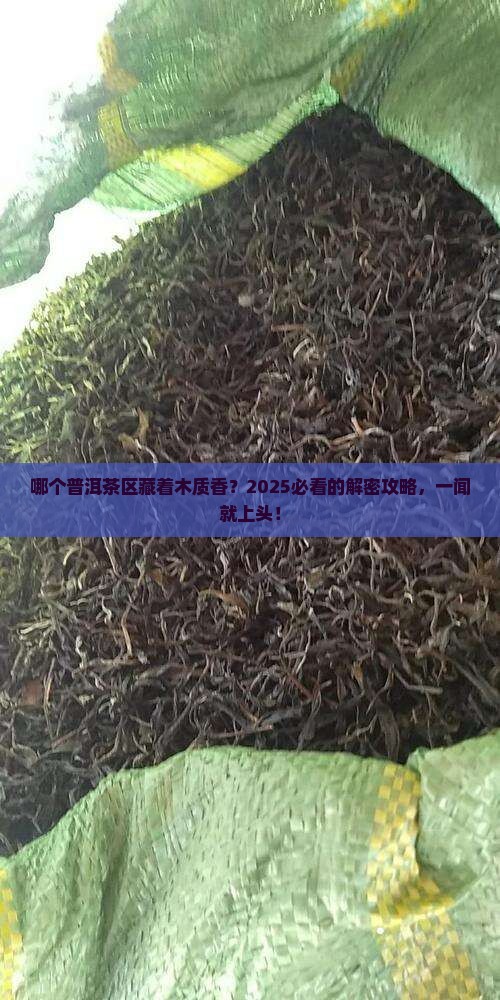 什么普洱茶区有木质香