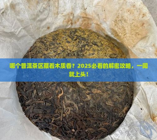 什么普洱茶区有木质香