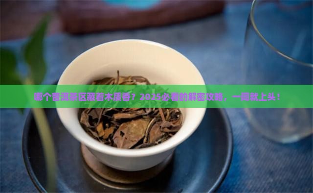 什么普洱茶区有木质香