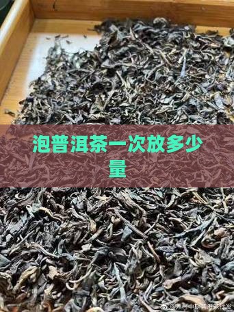泡普洱茶一次放多少量