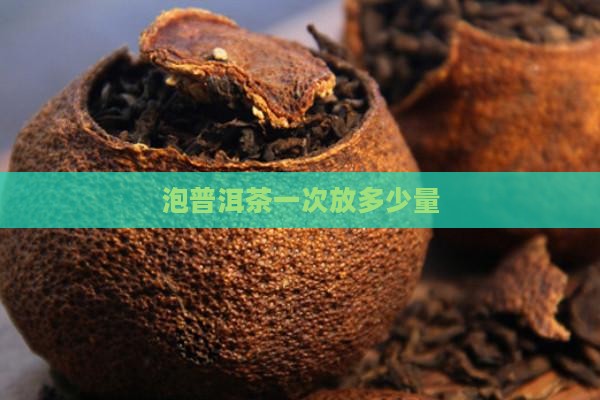 泡普洱茶一次放多少量